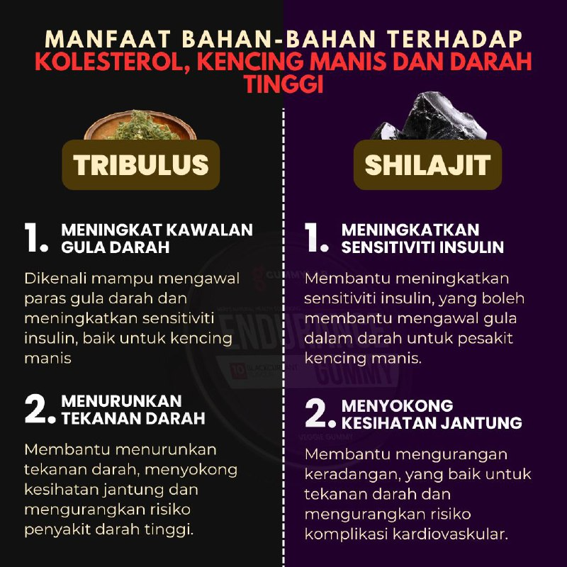 Abang-abang umur 30 hingga 55 tahun yang ada masalah macam cepat pancit, kurang ‘kuat’ atau susah nak keras sebab kencing manis, kolesterol, dan darah tinggi, memang sesuai sangat amalkan ni! . Bahan-bahan organik dalam ni bukan sekadar untuk ‘Boboi’, tapi mujarab juga untuk bantu kawal tekanan darah, turunkan kolesterol, dan stabilkan kencing manis.Jadi tak perlu risau kesan sampingan macam sakit kepala, dada rasa laju dan tangkap pinggang. Memang all-in-one, kan? . bahan bahan gummy endurance