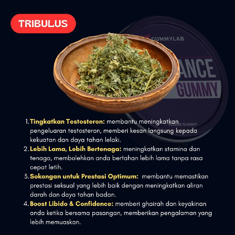 bahan bahan gummy endurance